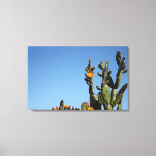 Blossoming Cactus Plant Stretched Canvas Print