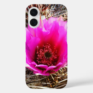 Blossoming Cactus (Prickly Pear) Wildflower iPhone 16 Case