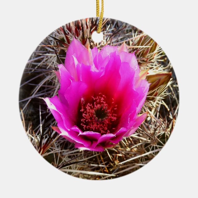 Blossoming Cactus (Prickly Pear) Wildflower Ceramic Tree Decoration (Front)
