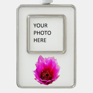 Blossoming Cactus (Prickly Pear) Wildflower Silver Plated Framed Ornament