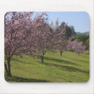 Blossoming Cherry Trees Mouse Pad