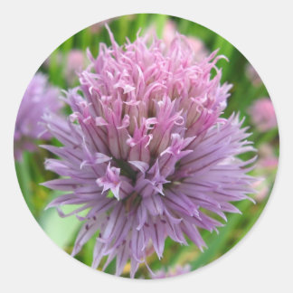 Blossoming Chives Stickers