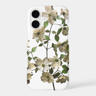 Blossoming Dogwood Flowers