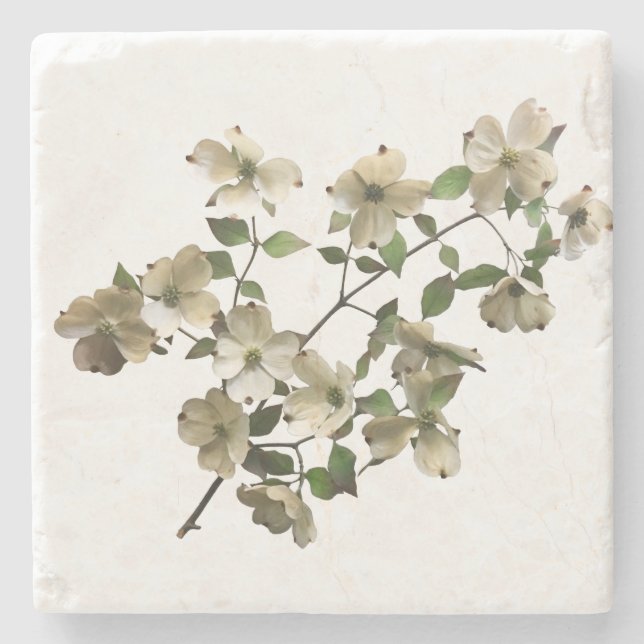 Blossoming Dogwood Flowers on Branch Stone Coaster (Front)