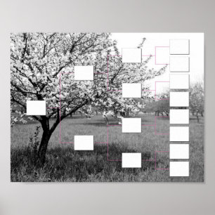 Blossoming Family Tree: 4 Generation Wall Chart