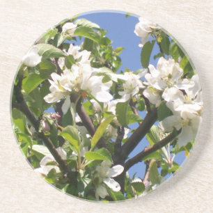 Blossoming Floral Branches- Coaster
