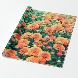 Blossoming flowers in a gardenautumn, background,  wrapping paper