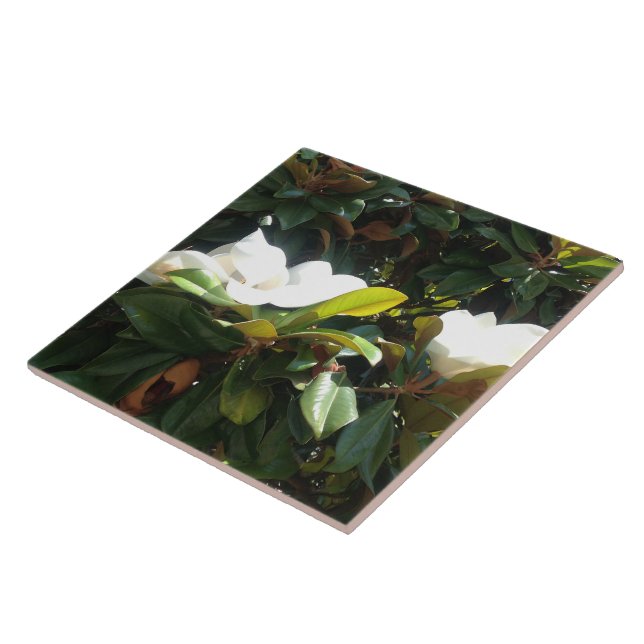 Blossoming Magnolia Tree Tile (Side)
