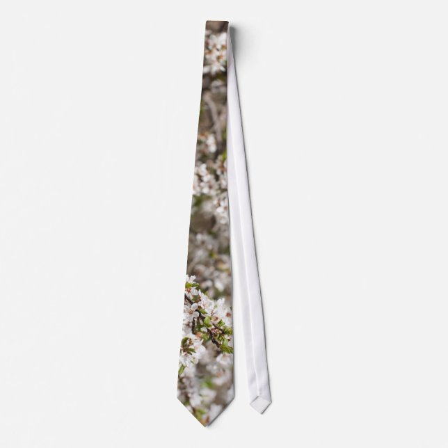 Blossoming of cherry tree tie (Front)