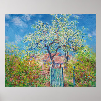Blossoming pear tree, Monet Poster
