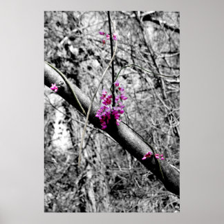 Blossoms 2 poster