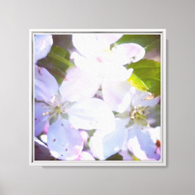 Blossoms Canvas Print (Front)