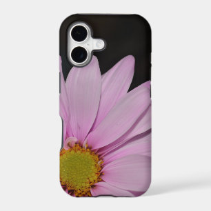 Blossoms Daisy Flowers Peace Love Nature Destiny