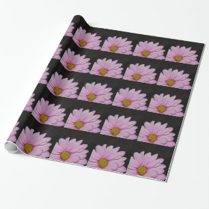 Blossoms Daisy Flowers Peace Love Nature Destiny Wrapping Paper