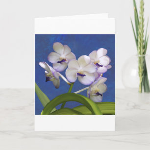 Blossoms Floral Plants Colourful Photograph Art Holiday Card
