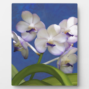 Blossoms Floral Plants Colourful Photograph Art Plaque