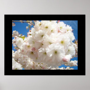 Blossoms Flowers art prints Pink White Floral