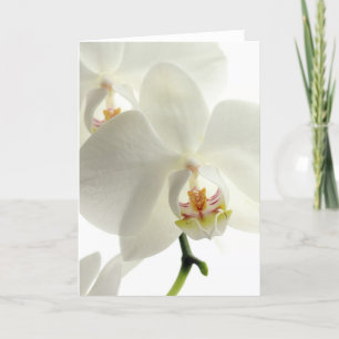 Blossoms Flowers Orchids Peace Love Destiny Thank You Card