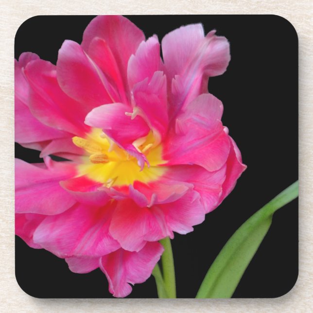 Blossoms Flowers Party Shower Congratulations Love Coaster (Front)