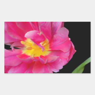 Blossoms Flowers Party Shower Congratulations Love Rectangular Sticker