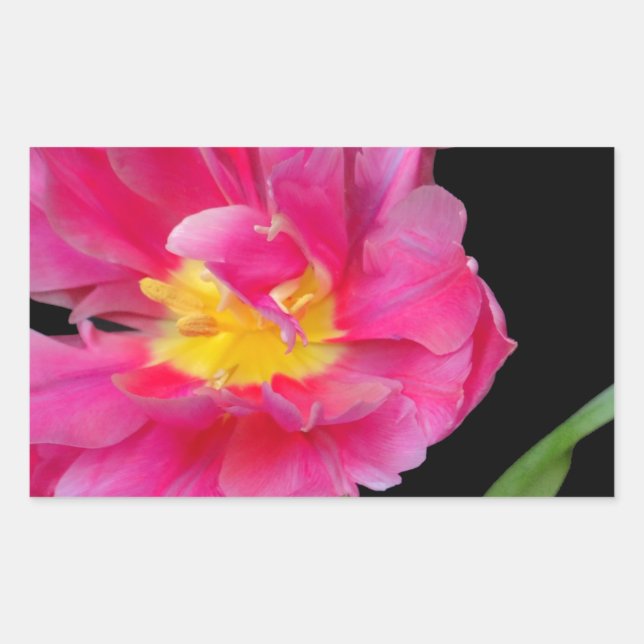 Blossoms Flowers Party Shower Congratulations Love Rectangular Sticker (Front)