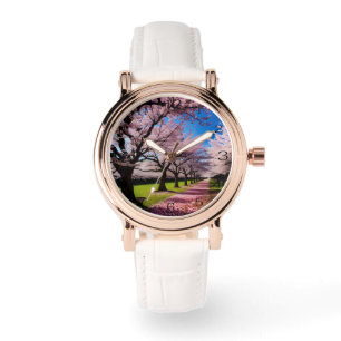 "Blossoms in Bloom: Rows of Cherry Trees in Spring Watch