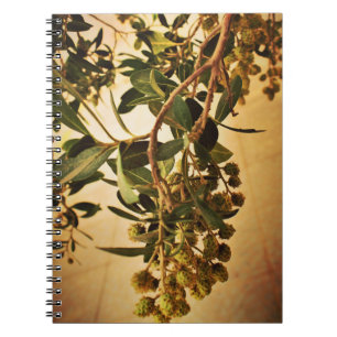 Blossoms Notebook