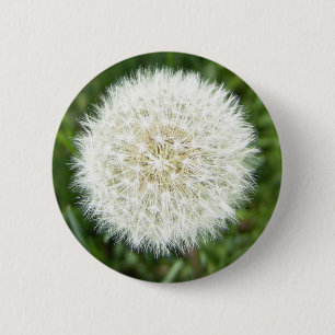 blow bull 6 cm round badge
