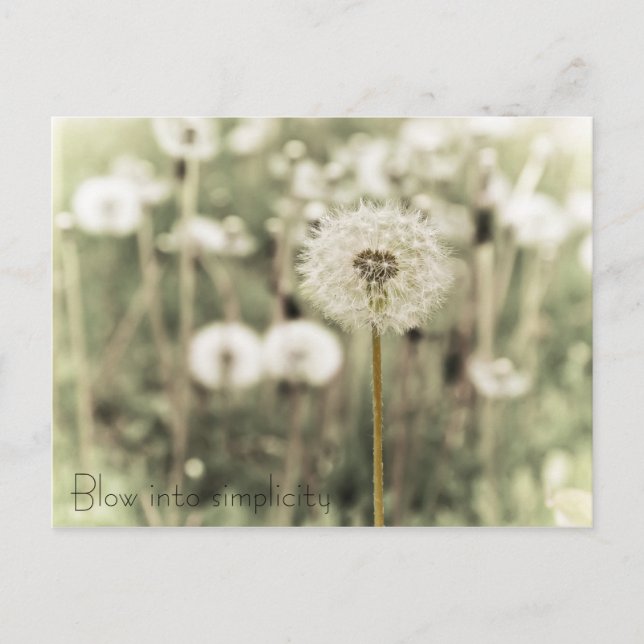 Blow into simplicity postcard (Front)