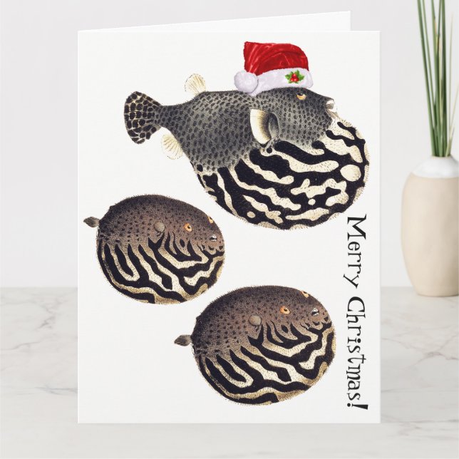 Blowfish Fish Santa Merry Christmas! Card (Front)