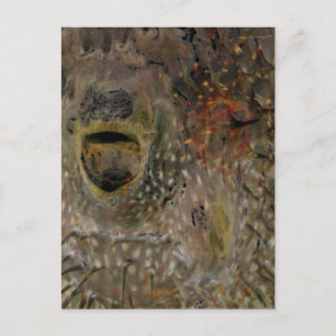Blowfish Incident Postcard