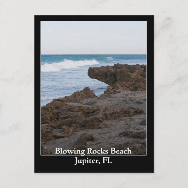 Blowing Rocks Beach Jupiter, FL Postcard (Front)