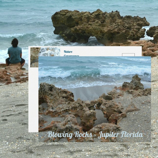 Blowing Rocks Jupiter Florida Photographic Postcard (Creator Uploaded)