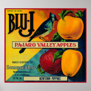 Blu-J Apple Crate LabelWatsonville, CA Poster