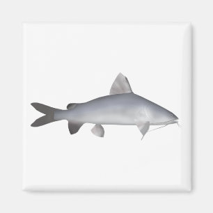 Blu Salmon Catfish Magnet