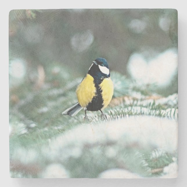 Blue Сhickadee Bird On Green Spruce Tree Stone Coaster (Front)