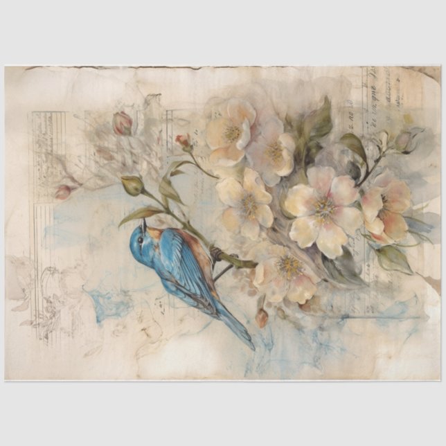 Blue 3 tissue paper (Front)