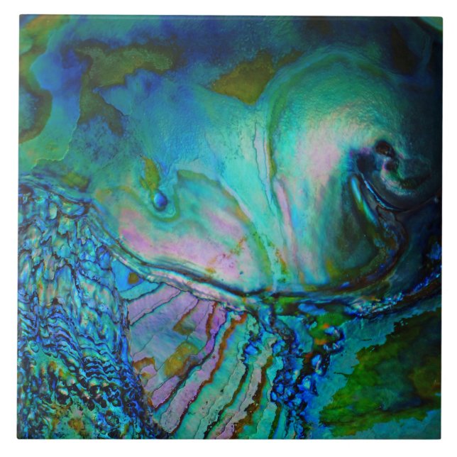 Blue Abalone Shell Tile (Front)