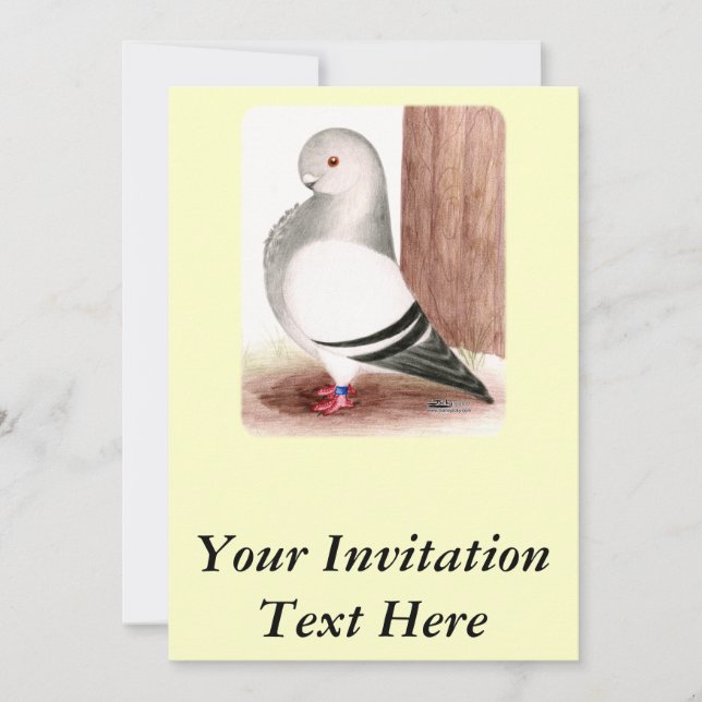 Blue African Owl Pigeon Invitation (Front)