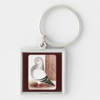Blue African Owl Pigeon Key Ring