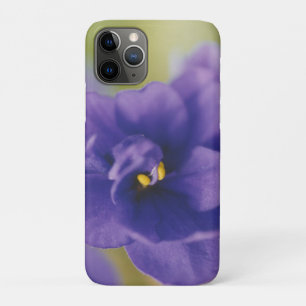 Blue African Violet Saintpaulia Case-Mate iPhone Case