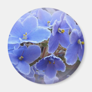 Blue African Violets Magnet
