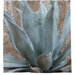 Blue Agave Plant Photograph from Texas Mission Shower Curtain