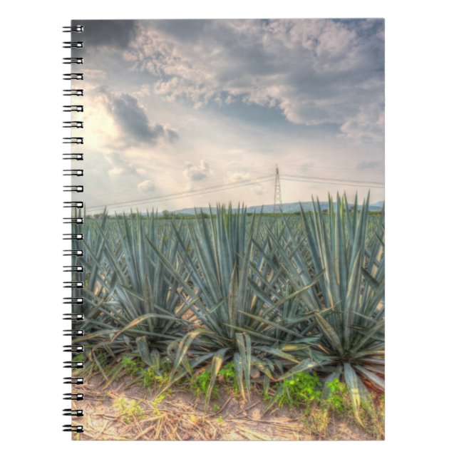 Blue Agave Spiral Notebook (Front)