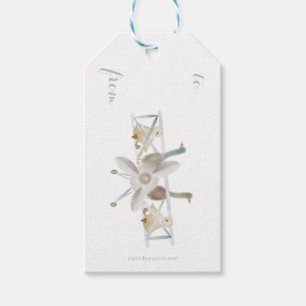 Blue Airplane Gift Tag