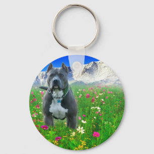 Blue American Pit Bull Terrier, Pikes Peak Key Ring