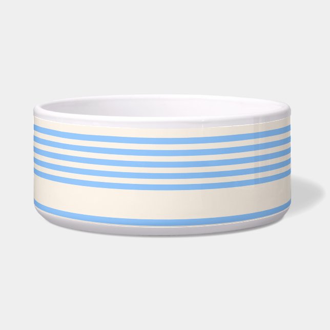 Blue and beige five stripe pattern (Front)