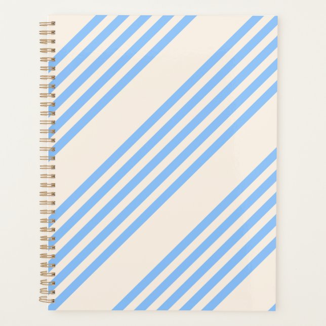 Blue and beige five stripe pattern planner (Front)