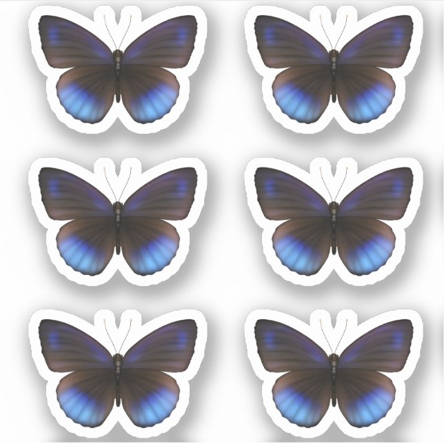 Blue and Black Butterfly Sticker pack Wedding (Front)