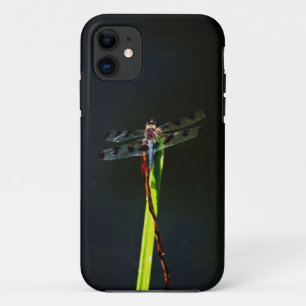 Blue and black  Dragonfly on green and red grass iPhone 11 Case